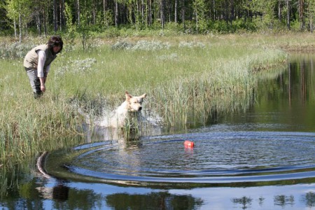 Ingen tvekan här inte! 2013